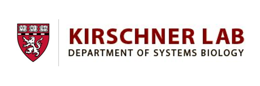 Kirschner Lab