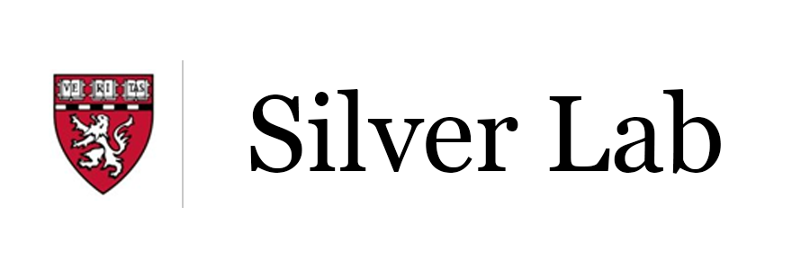 Silver Lab